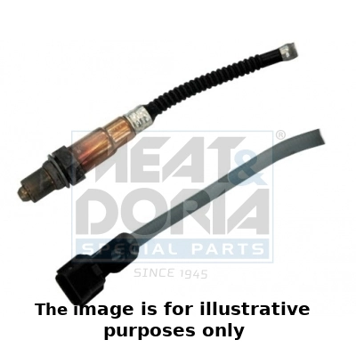 Oxygen Sensor